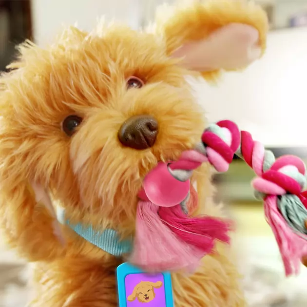 Інтерактивна іграшка My Fuzzy Friends – Лабрадудель Moji