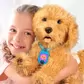 Інтерактивна іграшка My Fuzzy Friends &ndash; Лабрадудель Moji - 18207_5.jpg - № 5