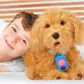 Інтерактивна іграшка My Fuzzy Friends &ndash; Лабрадудель Moji - 18207_7.jpg - № 7
