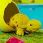 Растущая игрушка в яйце - Крокодилы и черепахи - T070-2019_4.jpg - № 4