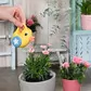 Набор одежды для куклы BABY Born серии Deluxe - Веселая прогулка - 830086_4.jpg - № 4