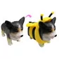 Стретч-игрушка Dress your Puppy S1 - Корги-пчёлка - 0222-7_3.jpg - № 3
