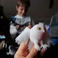 Стретч-игрушка в виде животного &ndash; Властелины льда (12 шт, в дисплее) - 25-CN-2020-CDU_9.jpg - № 9