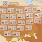 Обучающий Игровой Набор - Ферма S1 - WEU1705_3.jpg - № 3