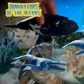 Стретч-іграшка у вигляді тварини &ndash; Повелителі океанів - 57-CN22_8.jpg - № 8