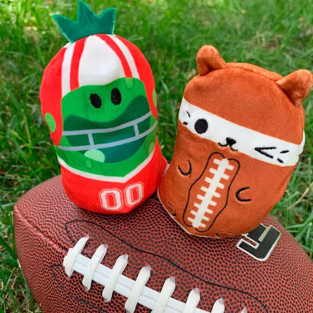М&rsquo;яка іграшка Cats Vs Pickles 2 в 1 &ndash; Котик та огірок Спортсмени