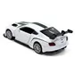 Автомодель - BENTLEY CONTINENTAL GT3 (белый) - 250258_3.jpg - № 3