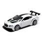 Автомодель - BENTLEY CONTINENTAL GT3 (белый) - 250258_1.jpg - № 1