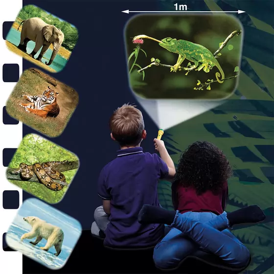 Ліхтарик-проектор Brainstorm – У світі тварин (3 диски, 24 зображення)