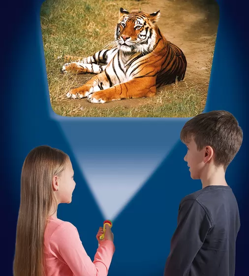 Ліхтарик-проектор Brainstorm – У світі тварин (3 диски, 24 зображення) - E2012_5.jpg - № 5