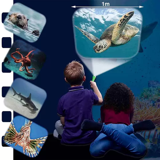 Фонарик-проектор Brainstorm – Жители морей (3 диска, 24 картинки)