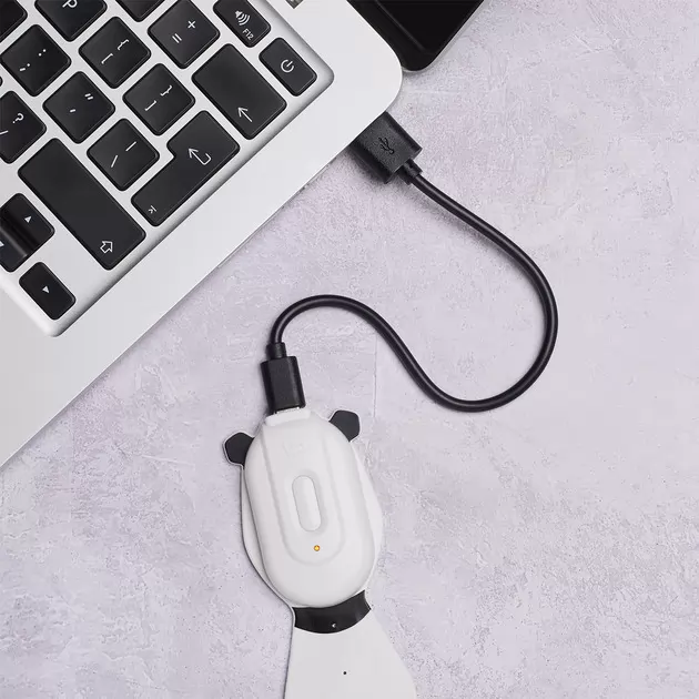 Закладка-ліхтарик Flexilight Rechargeable - Панда