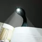 Закладка-фонарик Flexilight - Черный стиль - FLBLK_6.jpg - № 6