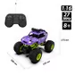 Автомобиль Bigfoot Off-road на р/у &ndash; Violet (1:16, 27 МГц (MHz)) - SL-358RHV_8.jpg - № 8