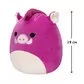 Мягкая игрушка Squishmallows &ndash; Кабанчик Дженна (19 cm) - SQCR04127_2.jpg - № 2