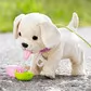 Интерактивный питомец Baby born - Мой счастливый песик - 835197_3.jpg - № 3