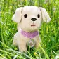 Интерактивный питомец Baby born - Мой счастливый песик - 835197_7.jpg - № 7