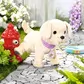 Интерактивный питомец Baby born - Мой счастливый песик - 835197_5.jpg - № 5