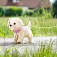 Интерактивный питомец Baby born - Мой счастливый песик - 835197_2.jpg - № 2