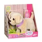 Интерактивный питомец Baby born - Мой счастливый песик - 835197_10.jpg - № 10
