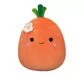 М'яка іграшка Squishmallows - Морквинка Кароліна (13 cm) - SQER00909_1.jpg - № 1
