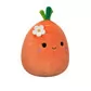 М'яка іграшка Squishmallows - Морквинка Кароліна (13 cm) - SQER00909_3.jpg - № 3