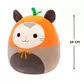 М'яка іграшка Squishmallows - Опосум Луанне (19 cm) - SQER00834_2.jpg - № 2
