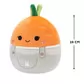 М'яка іграшка Squishmallows - Морквинка Кароліна (19 cm) - SQER00945_2.jpg - № 2