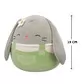 М'яка іграшка Squishmallows - Зайчик Блейк (19 cm) - SQER00948_2.jpg - № 2