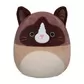 Мягкая игрушка Squishmallows &ndash; Кот Вудворд (30 cm) - SQCR05423_1.jpg - № 1