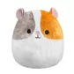 М'яка іграшка Squishmallows &ndash; Морська свинка Еверетт (30 cm) - SQCR00339_1.jpg - № 1