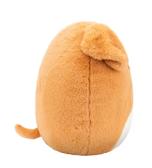 М'яка іграшка Squishmallows &ndash; Лабрадор Стеван (30 cm) - SQCR00342_5.jpg - № 5