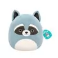 М'яка іграшка Squishmallows &ndash; Єнот Роккі (19 cm) - SQCR05407_7.jpg - № 7