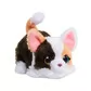 Интерактивная игрушка Furreal серии My Mini's &ndash; Маленький котенок - 28062_1.jpg - № 1