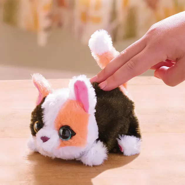 Интерактивная игрушка Furreal серии My Mini's &ndash; Маленький котенок