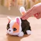 Интерактивная игрушка Furreal серии My Mini's &ndash; Маленький котенок - 28062_4.jpg - № 4