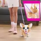 Інтерактивна іграшка Furreal серии Poop-A-Lots - Коргі - 28057_3.jpg - № 3