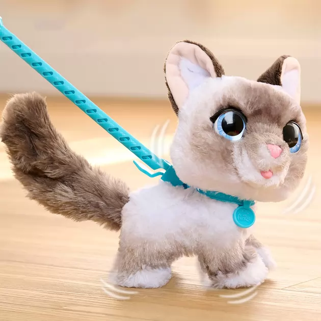 Інтерактивна іграшка Furreal серії Wag-A-Lots - Кошеня