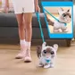Інтерактивна іграшка Furreal серії Wag-A-Lots - Кошеня - 28059_3.jpg - № 3