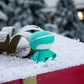 Акуст. Система Xoopar - Mini Xboy(7,5Cm, М'Ятна, Bluetooth, Моно) - XBOY81001.30A_5.jpg - № 5