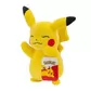 Мягкая игрушка Pokemon W14 - Пикачу (20 cm) - PKW2696_5.jpg - № 5