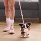 Інтерактивна іграшка Furreal серії  Walk-A-Lots - Бернедудель - 28056_3.jpg - № 3