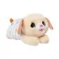 Інтерактивна іграшка Furreal серії Newborns - Цуценятко - 28074_1.jpg - № 1