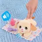 Інтерактивна іграшка Furreal серії Newborns - Цуценятко - 28074_4.jpg - № 4