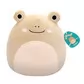 М'яка іграшка Squishmallows &ndash; Жабка Де Вітт (30 cm) - SQCR06687_7.jpg - № 7
