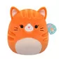 Мягкая игрушка Squishmallows &ndash; Рыжая кошечка Джиджи (30 cm) - SQCR06684_7.jpg - № 7