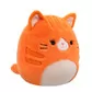 Мягкая игрушка Squishmallows &ndash; Рыжая кошечка Джиджи (30 cm) - SQCR06684_6.jpg - № 6