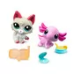 Игровой набор Littlest Pet Shop &ndash; Удивительные Дивы - 00527_2.jpg - № 2