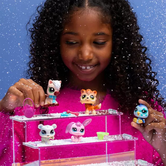 Игровой набор Littlest Pet Shop &ndash; Зимние приключения