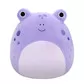 М'яка іграшка Squishmallows &ndash; Жабка Наомі (30 cm) - SQCR06625_1.jpg - № 1